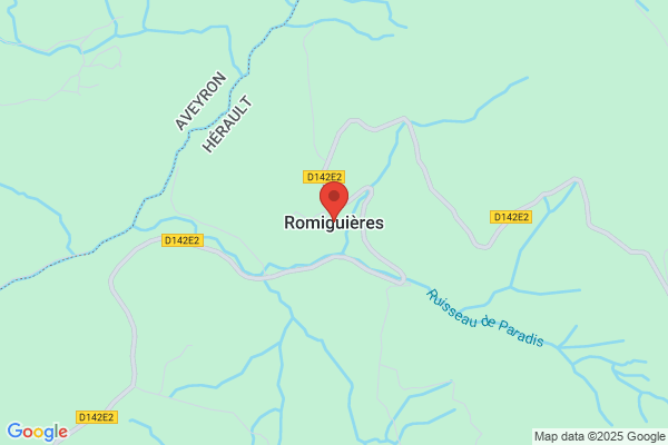 Romiguier Services