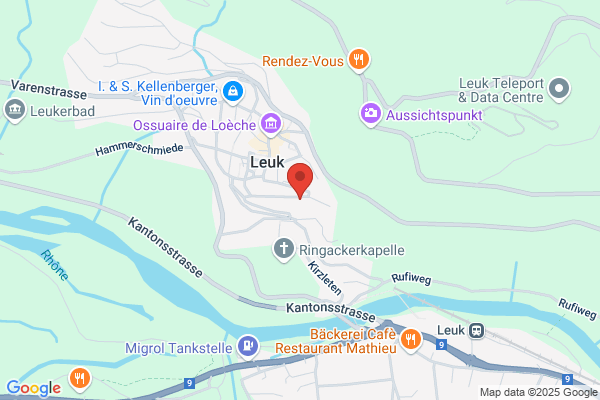 Verein Arbeits- und Wohngemeinschaft Schlosshotel Leuk AWSL