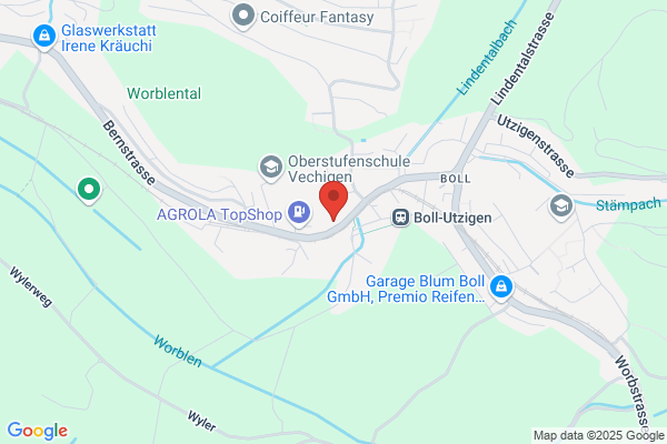 Gasthof Blaues Roessli