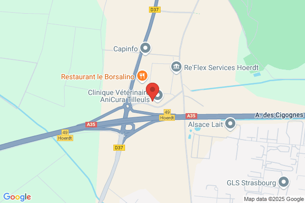 Boutique le Ballon