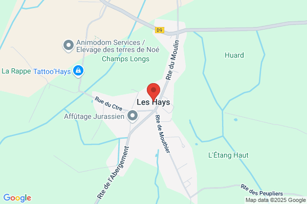 Thierry Hays