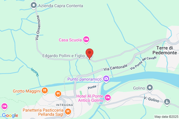 Edgardo Pollini e Figlio SA