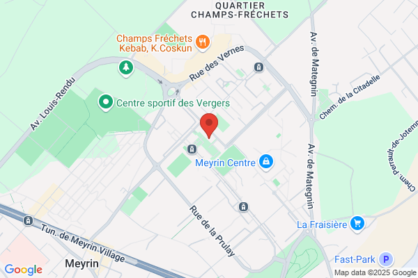 Dépannage Informatique Meyrin