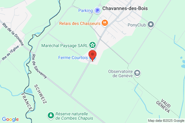 Caspienne