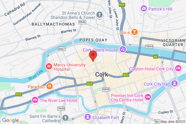 Bodega bar irish pub