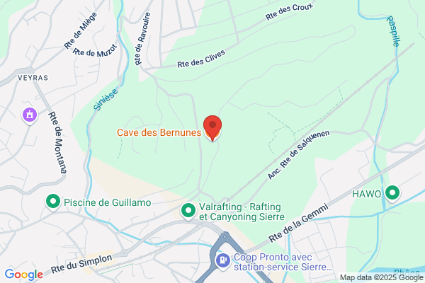 Cave des Bernunes SA