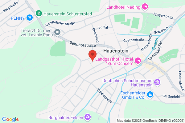 Dr méd.dent. P. Hauenstein