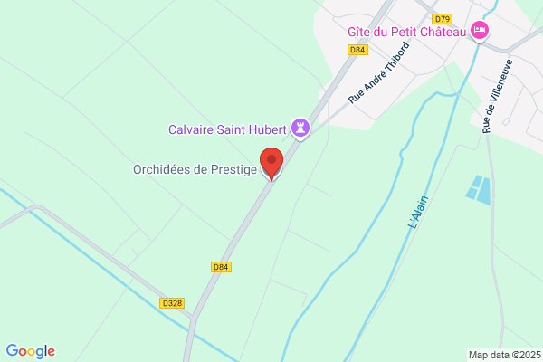 Or-ch-idées SA