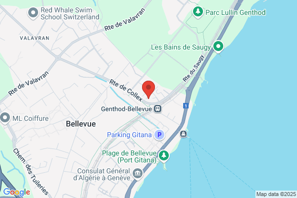 Global Info Gestion Sàrl