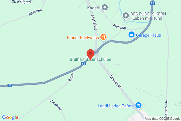 Moritz Bruelhart