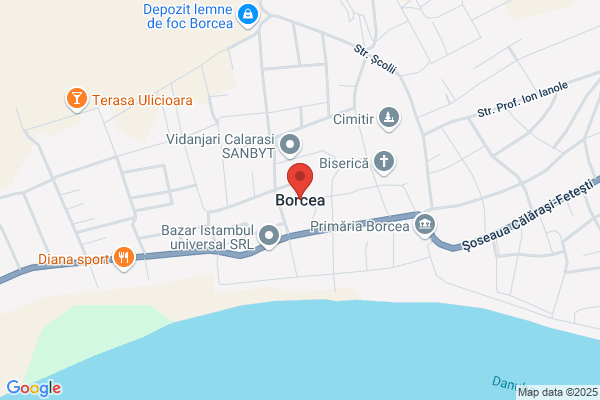Borcea Adrian