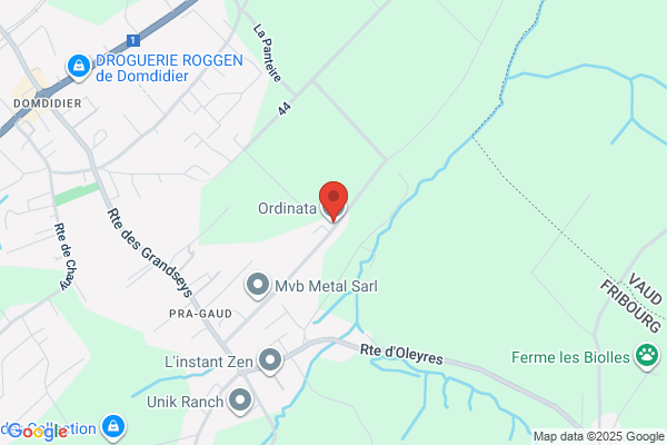 Ordinata