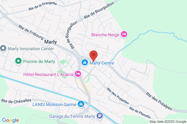 Tai Chi Chuan Fribourg