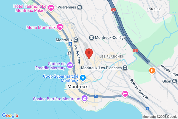 Brocante de Montreux