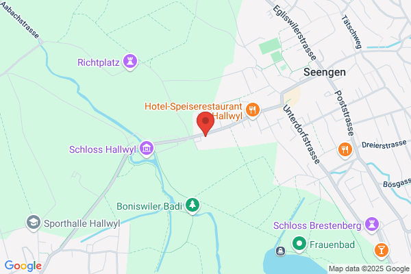Schlossgarage Seengen AG