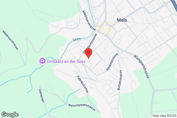 Edi Willi Holzbau AG
