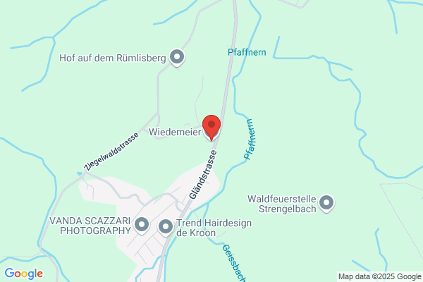 Wiedemeier AG