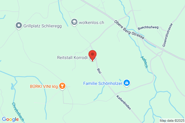 Hansruedi Korrodi
