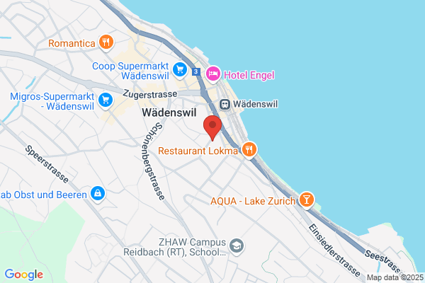Institut fuer HoloEnergetic