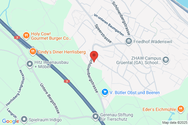 Straeuli Foodservice Cons.