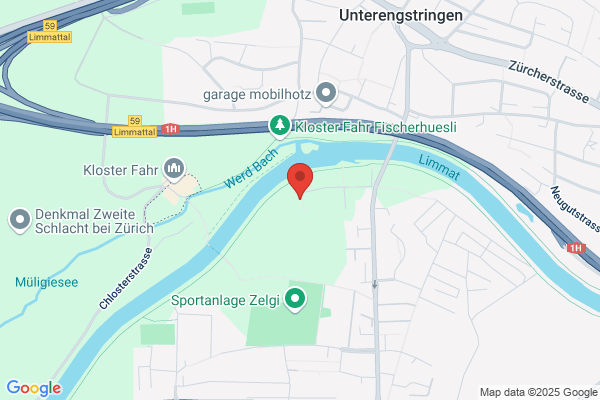 SCHURTENBERGER CONSULTING