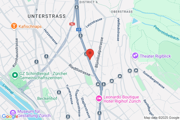 Institut fuer Biomedizinische Technik
