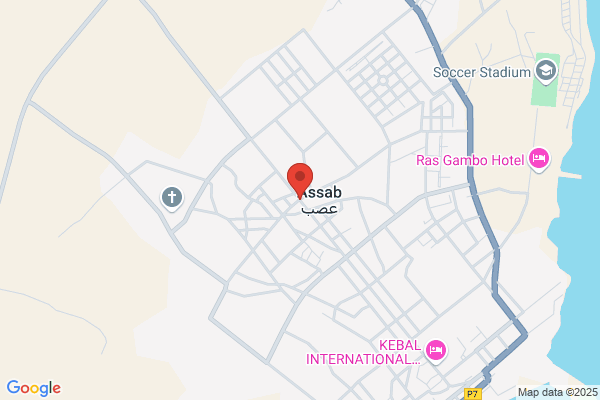ASEB, Kompetenzzentrum Elektrosmog