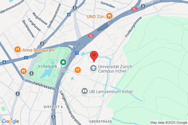 Institut fuer Neuroinformatik der Universitaet und ETH Zuerich