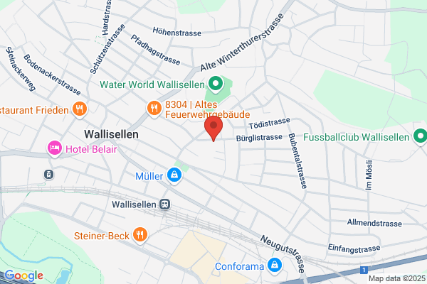 Institut fuer Umwelt- wissenschaften
