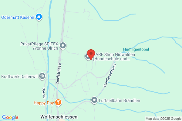 IMOS Consulting Group GmbH
