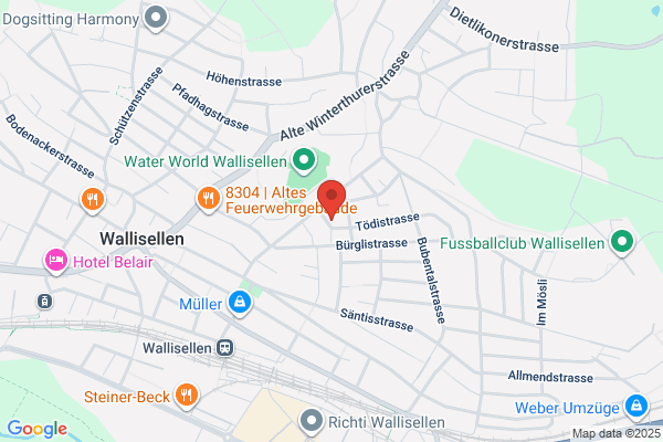 Management und Trading