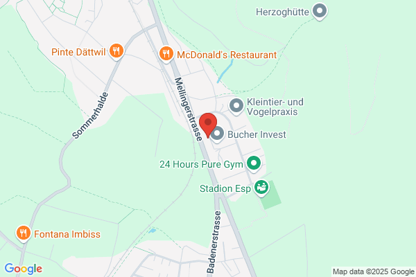 Bergauer AG