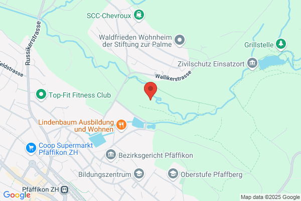 Fridolin Blumer