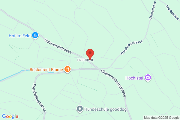 Fediers Werbeagentur BSW