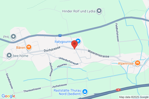Tankrevisionen Wespe AG