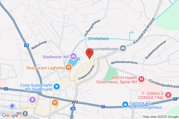 Heidelberger Consulting AG