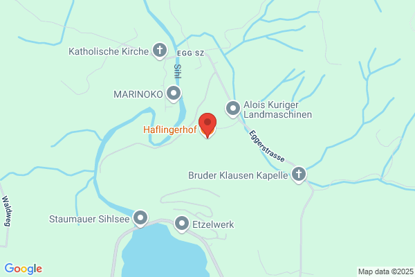 Haflingerhof