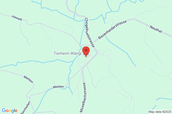 Hunde- u. Katzenferienheim Feldhof