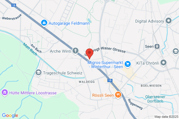 Swiss Renovation GmbH