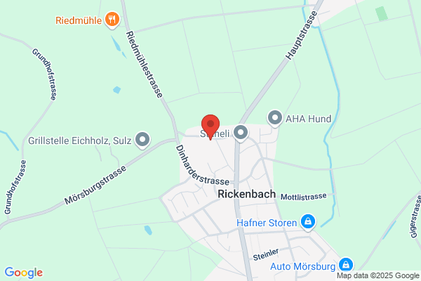 P. Volk Bau und Verwaltungs AG