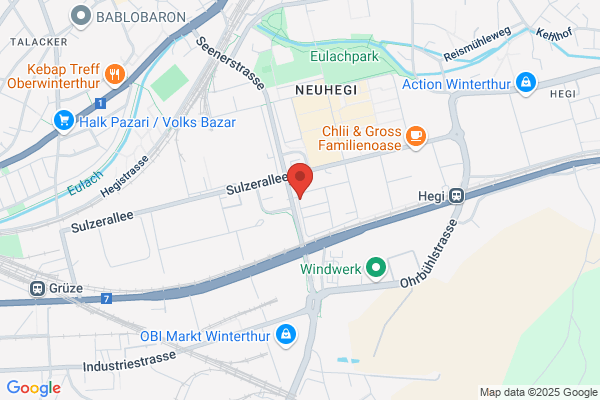zweifreunde suter und frei