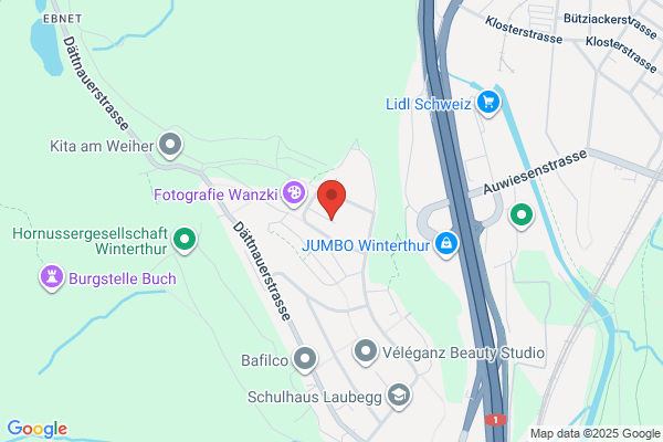 GIS General International Support GmbH c/o BBS Treuhand + Revision AG