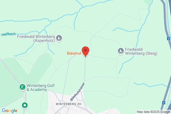 Restaurant Blaesihof GmbH