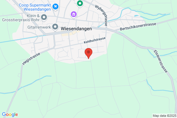 Eisenhut AG