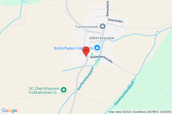 ECONOM INFORMATIC CORPORATION