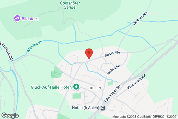 Zunfthaus zur Rosen