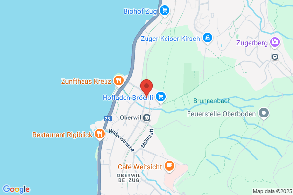 Banzer Consulting AG