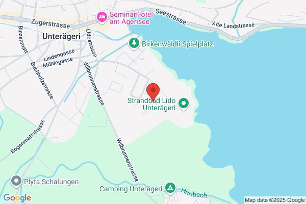 DSM - System Planning