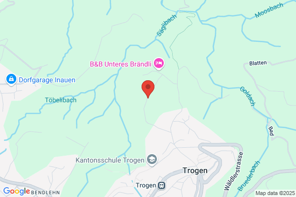 Comtiss Schmid