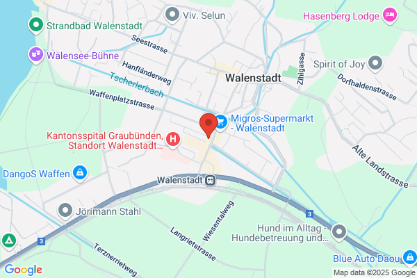 Gall - Garten- und Landschaftsbau, Berschis